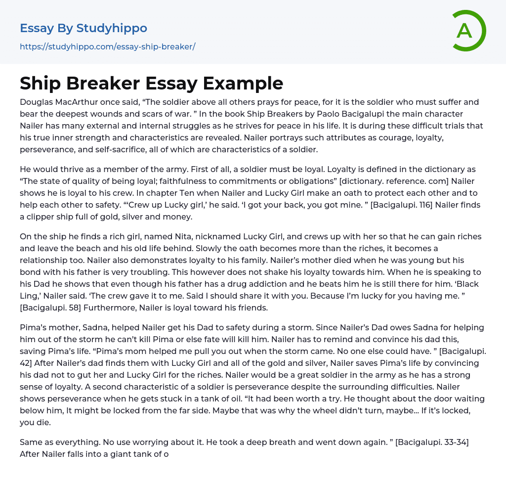 Ship Breaker Essay Example