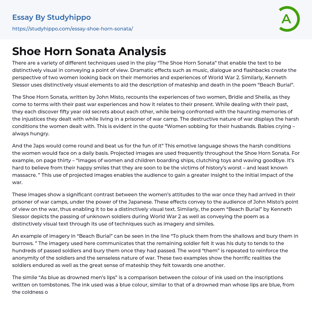 Shoe Horn Sonata Analysis Essay Example