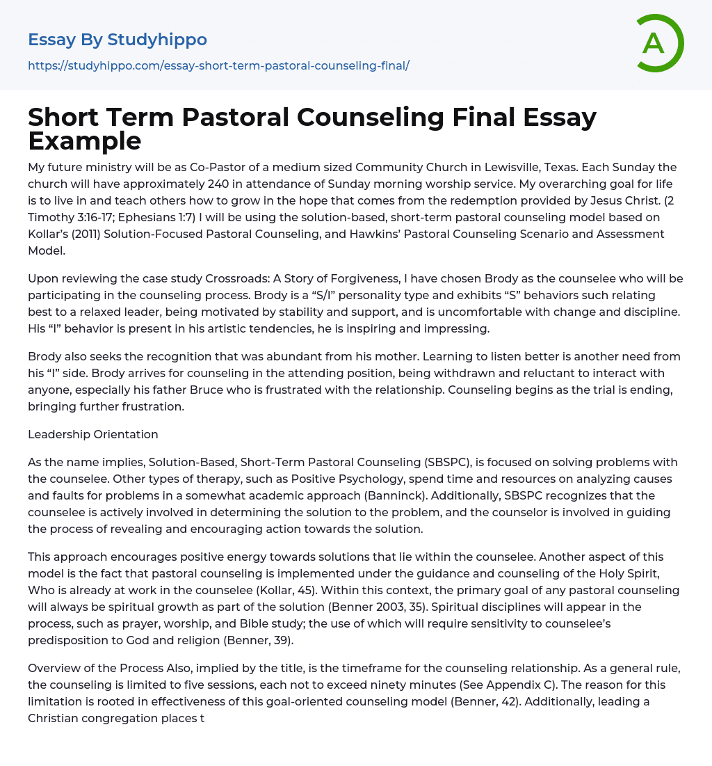 Short Term Pastoral Counseling Final Essay Example