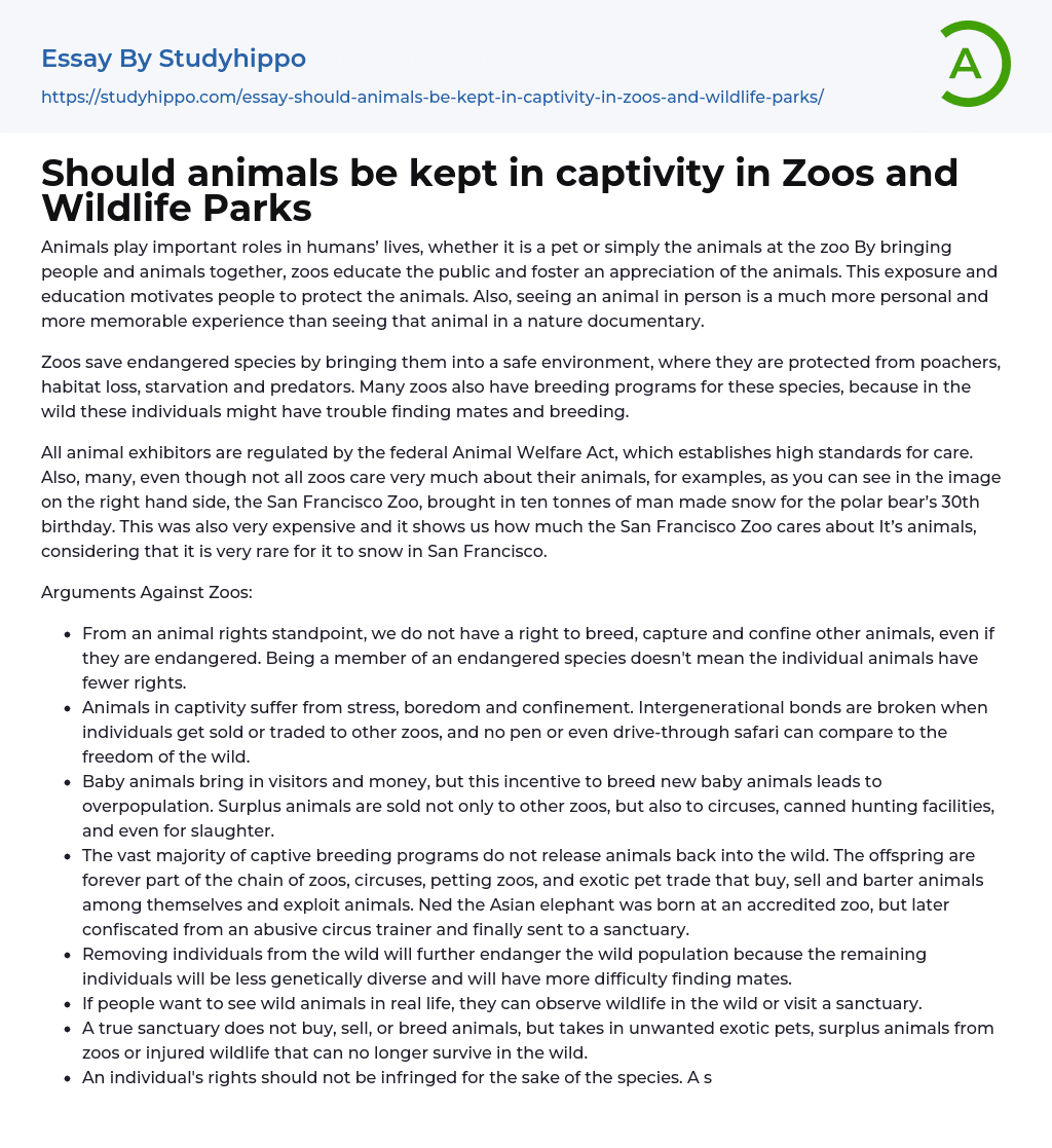Should animals be kept in captivity in Zoos and Wildlife Parks Essay Example