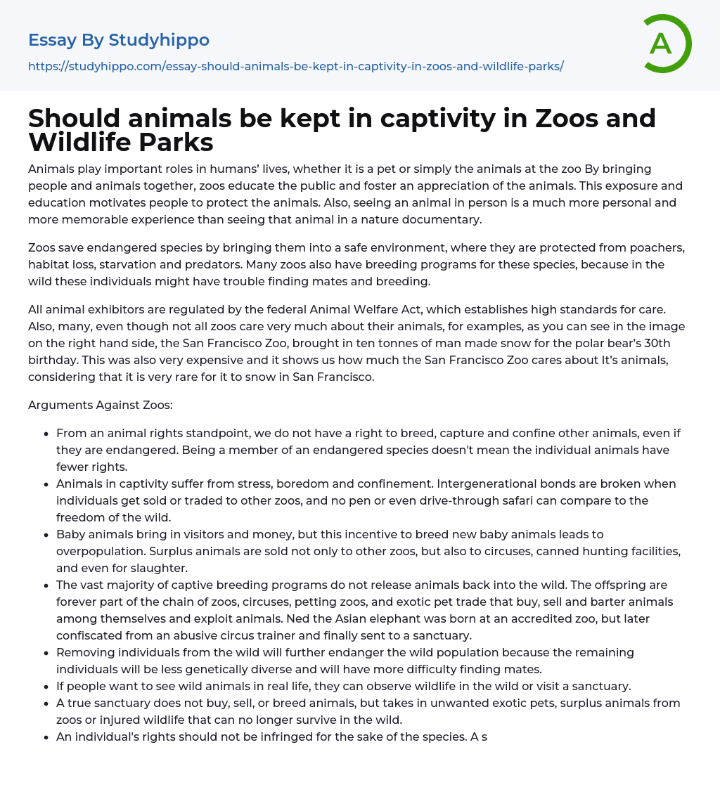 Should Animals Be Kept In Captivity In Zoos And Wildlife Parks Essay 