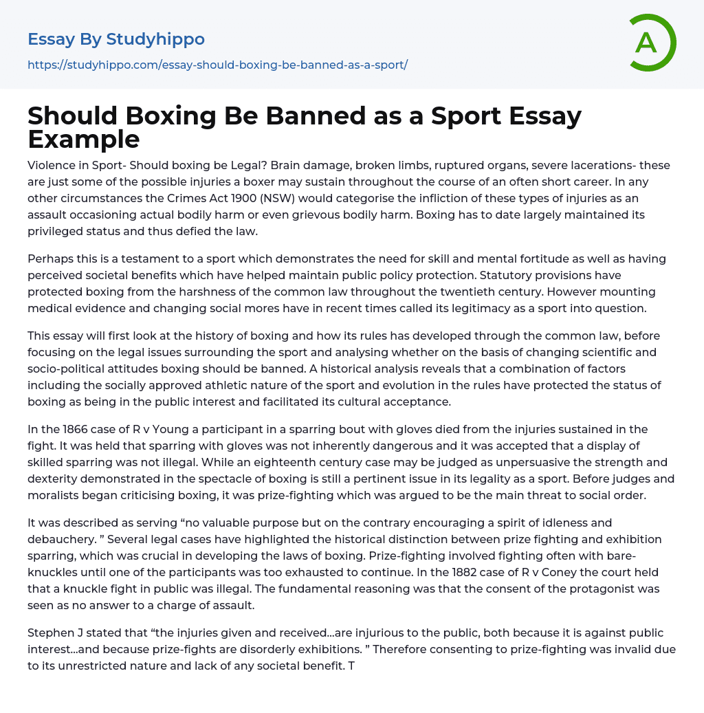 Should Boxing Be Banned as a Sport Essay Example