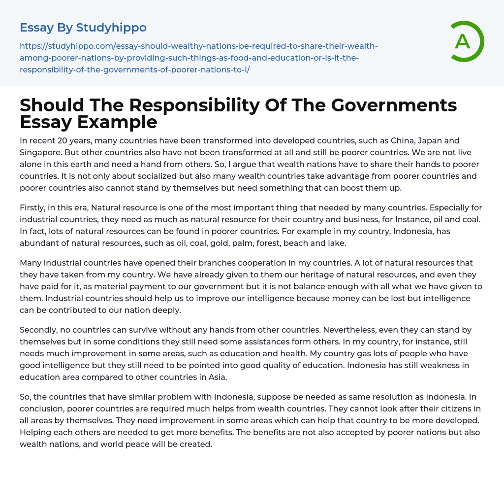 Should The Responsibility Of The Governments Essay Example