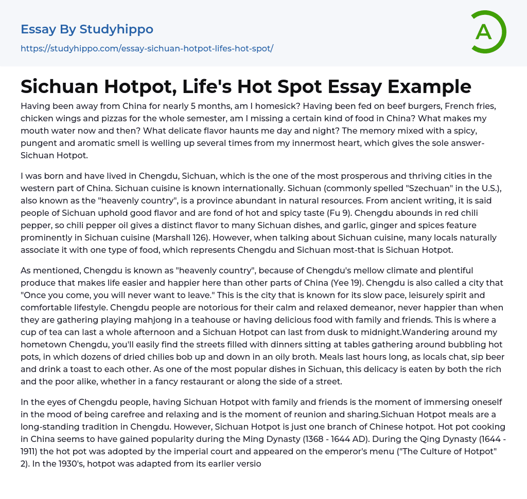 Sichuan Hotpot, Life’s Hot Spot Essay Example