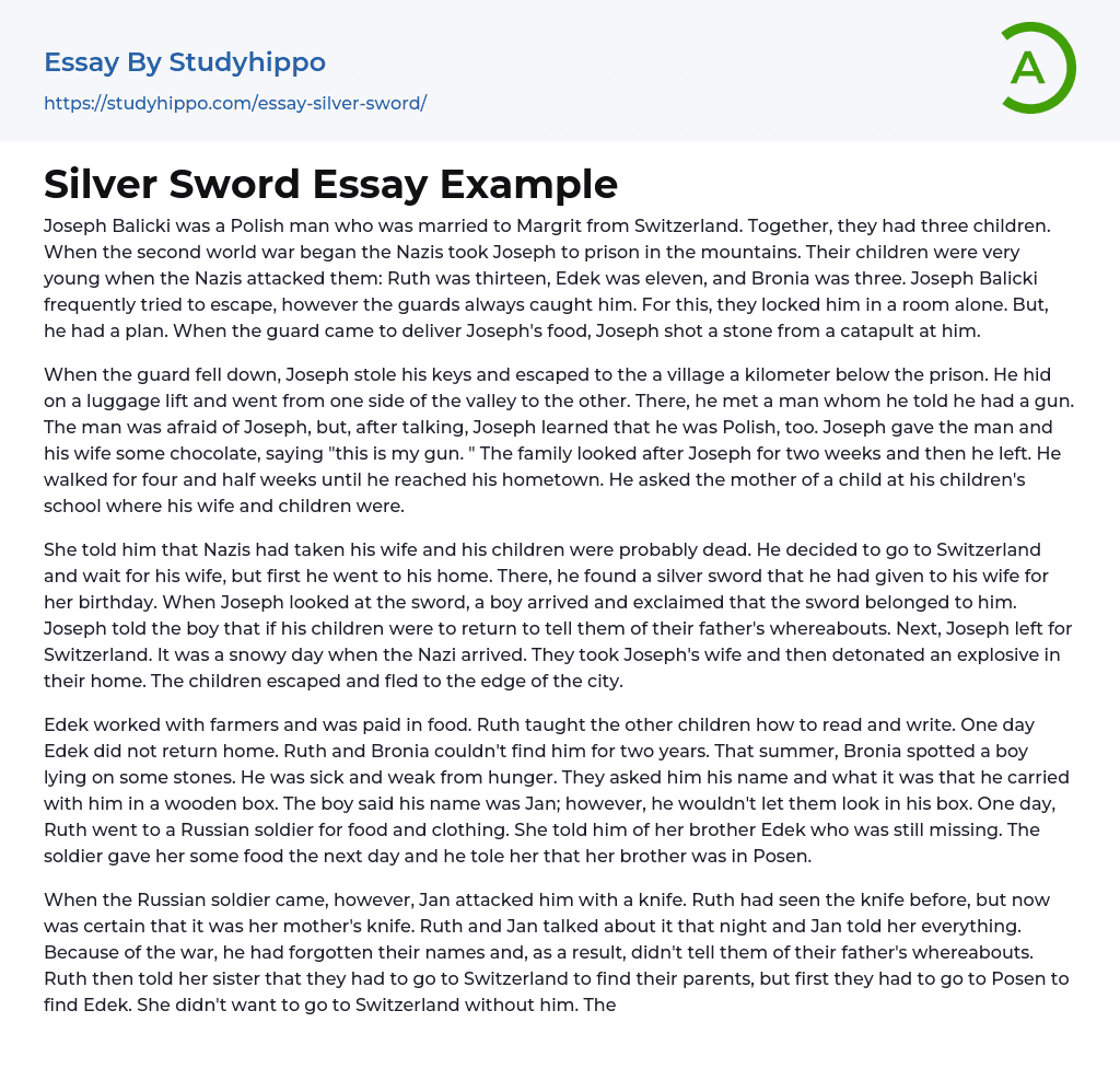 Silver Sword Essay Example