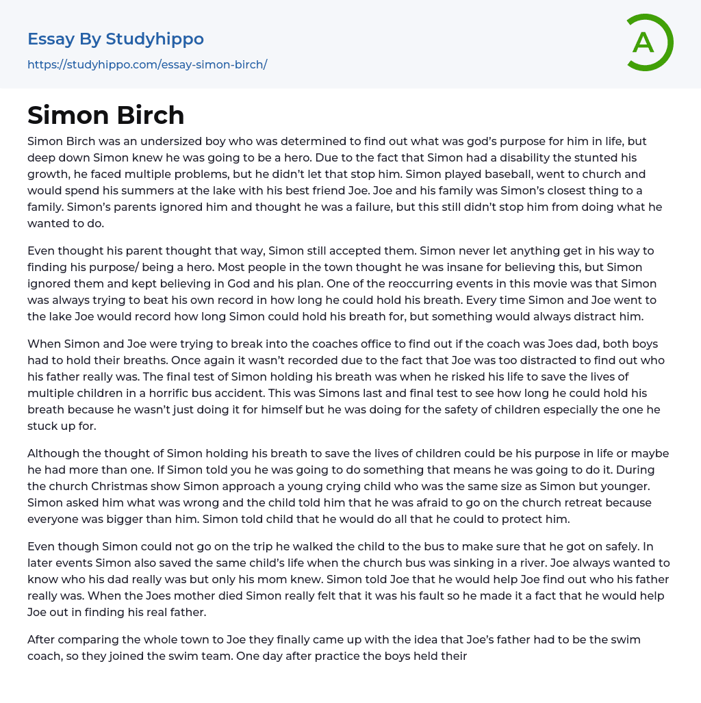 Simon Birch Essay Example