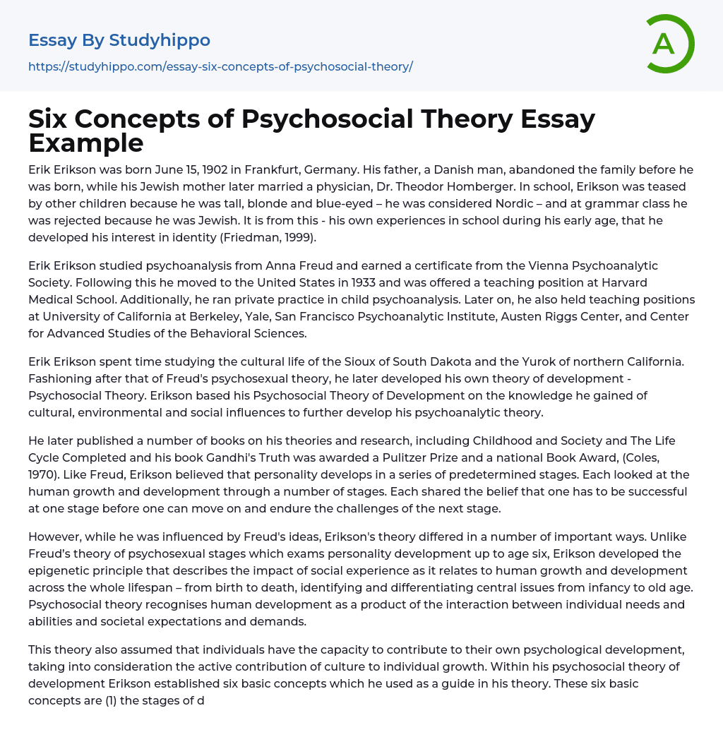 Six Concepts of Psychosocial Theory Essay Example