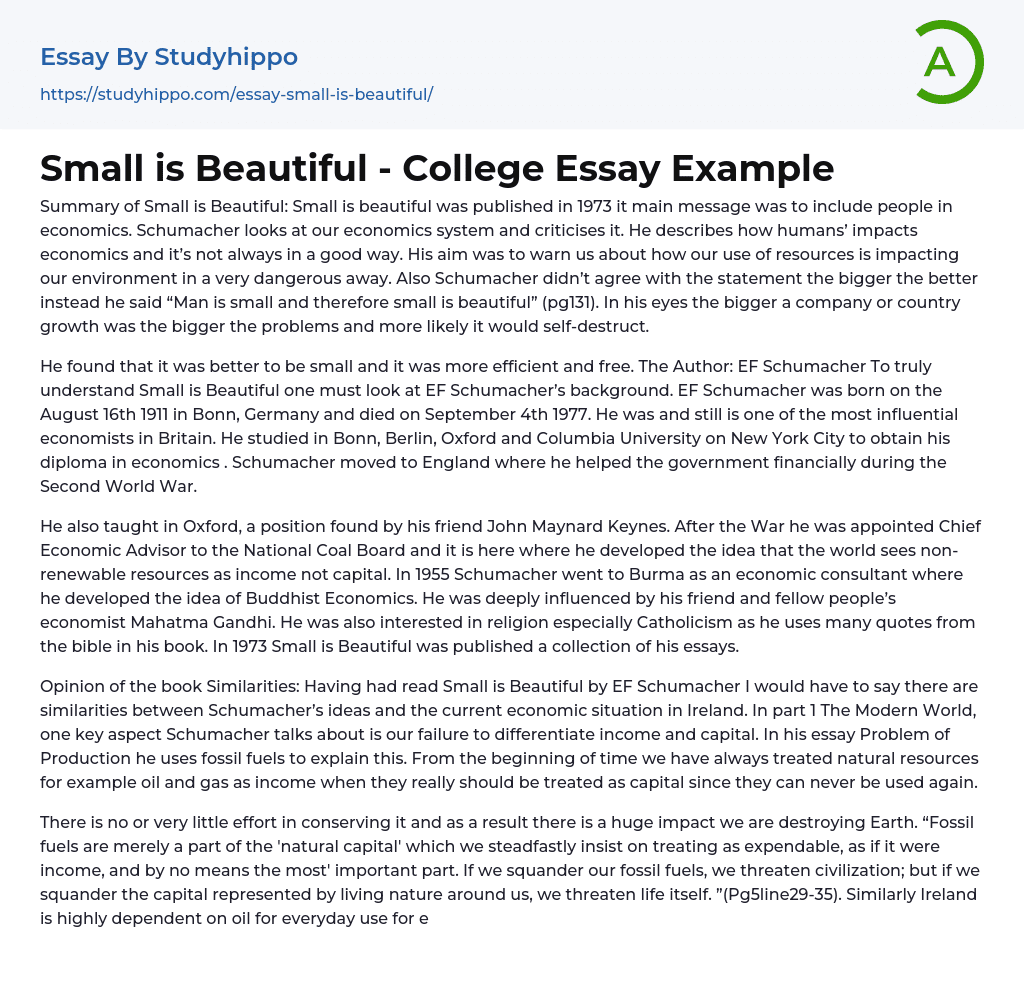 Small is Beautiful – College Essay Example