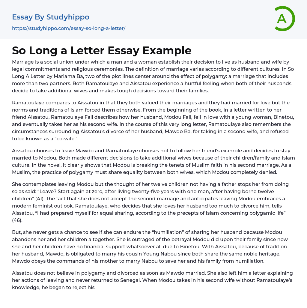 So Long a Letter Essay Example