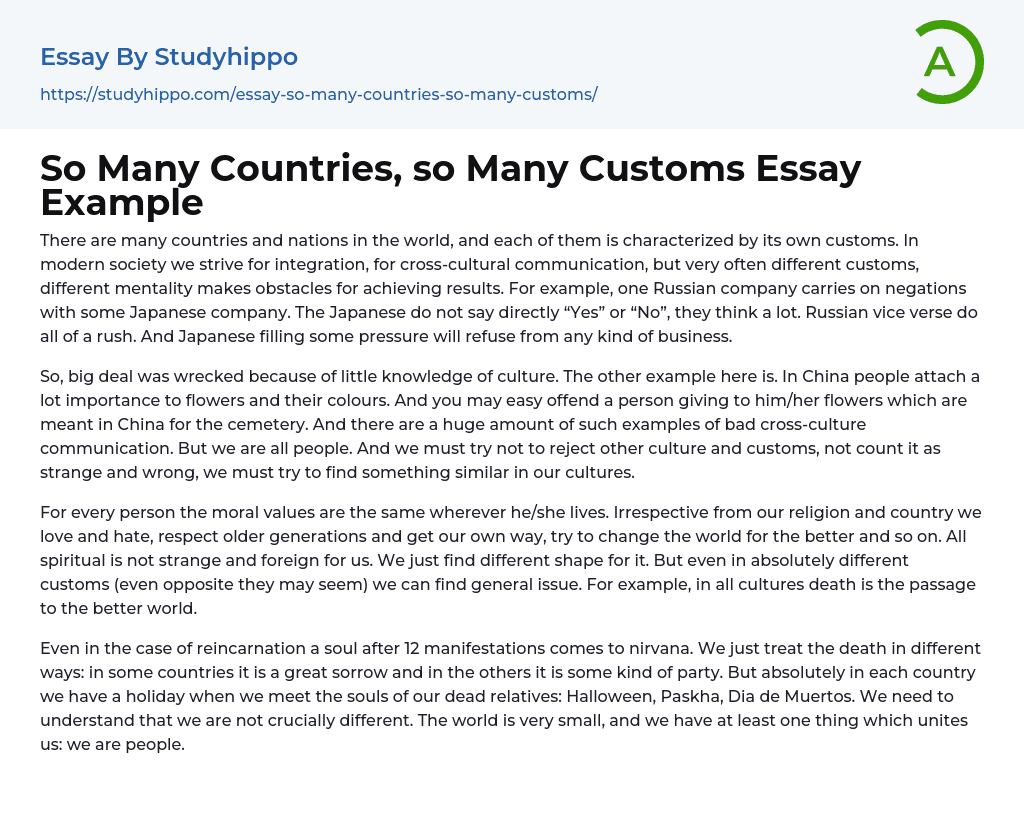 So Many Countries, so Many Customs Essay Example
