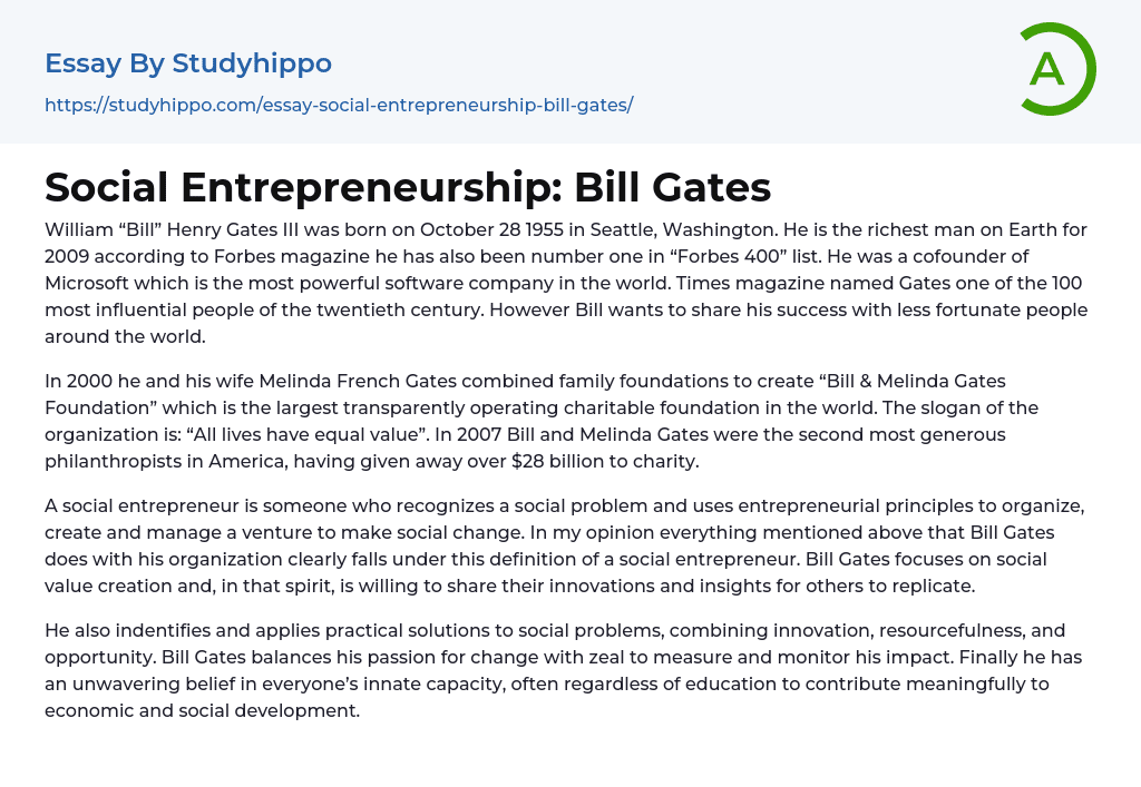 Social Entrepreneurship: Bill Gates Essay Example