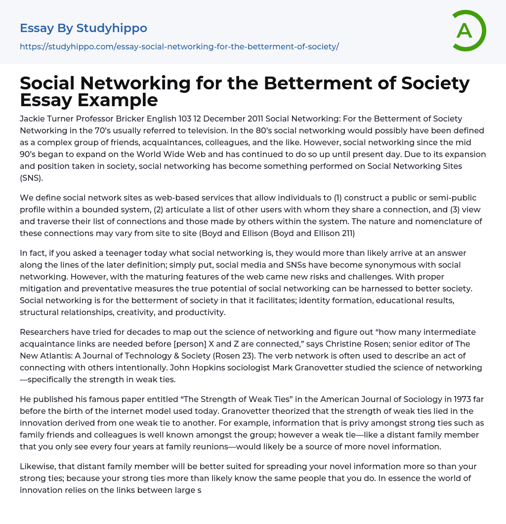 Social Networking for the Betterment of Society Essay Example