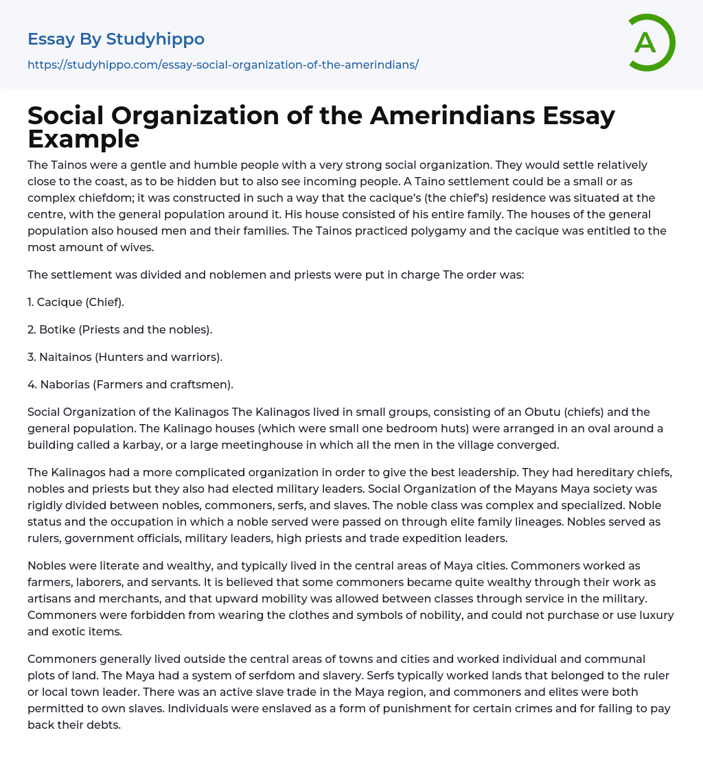 Social Organization of the Amerindians Essay Example