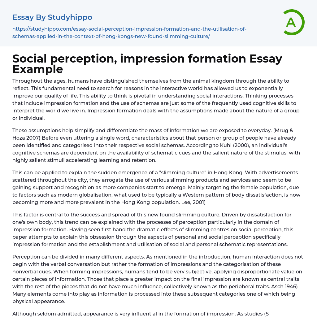 Social perception, impression formation Essay Example