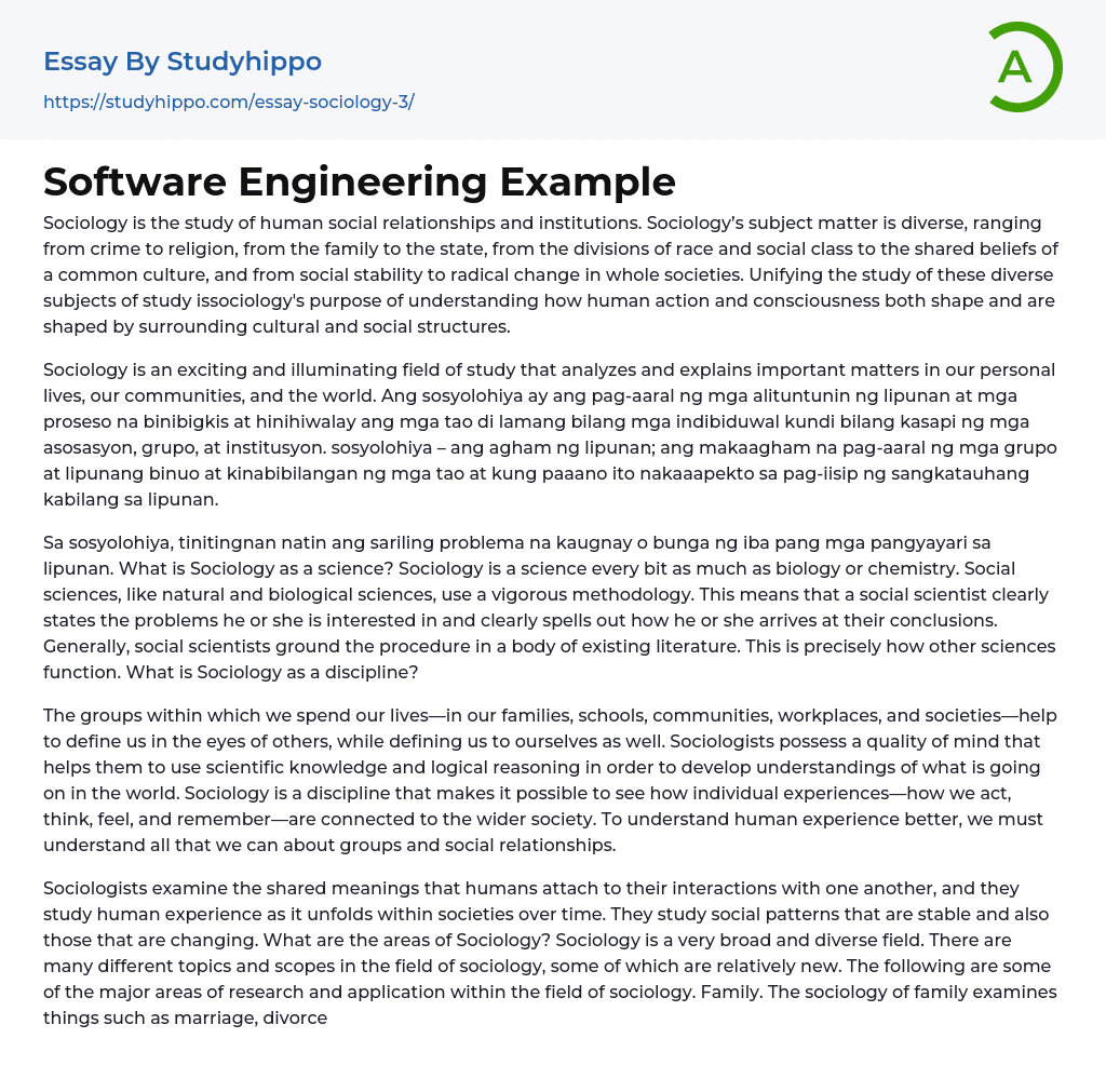 Software Engineering Example Essay Example