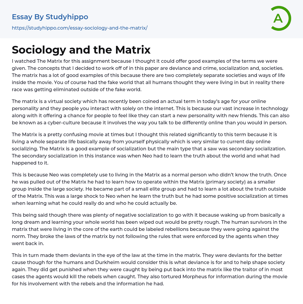 Sociology and the Matrix Essay Example