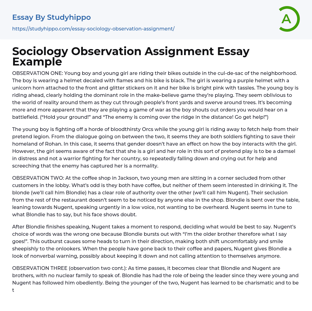 Sociology Observation Assignment Essay Example