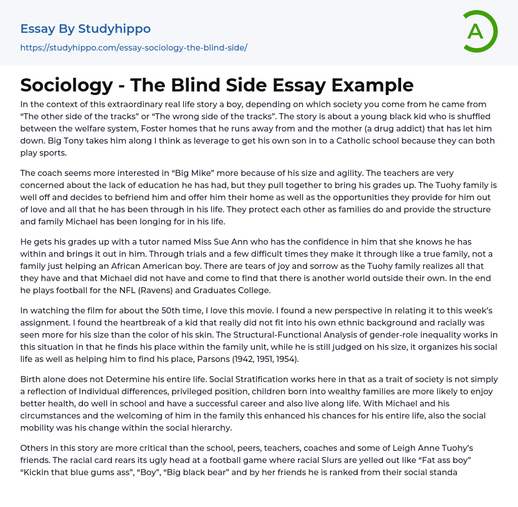 Sociology – The Blind Side Essay Example