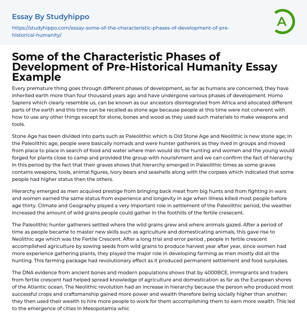 Some of the Characteristic Phases of Development of Pre-Historical Humanity Essay Example