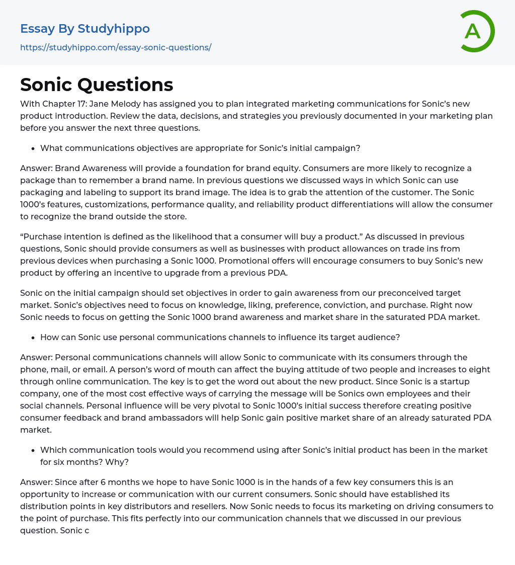 Sonic Questions Essay Example