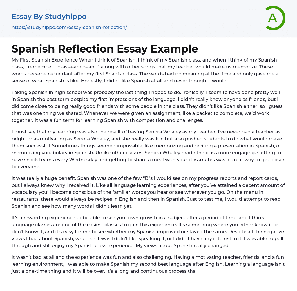 Spanish Reflection Essay Example