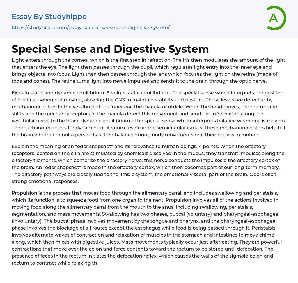 Special Sense and Digestive System Essay Example