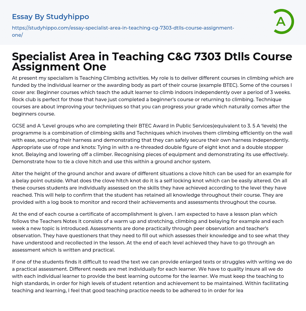 Specialist Area in Teaching C&G 7303 Dtlls Course Assignment One Essay Example