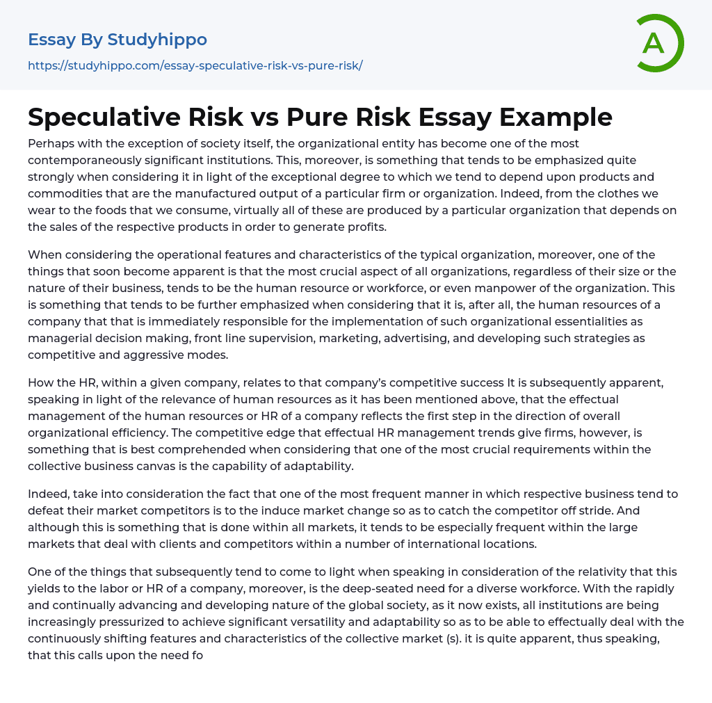 Speculative Risk vs Pure Risk Essay Example