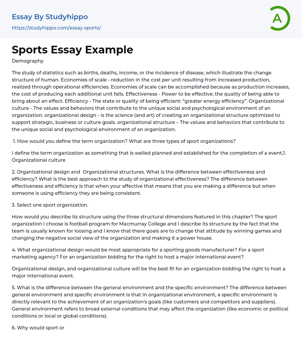Sports Essay Example