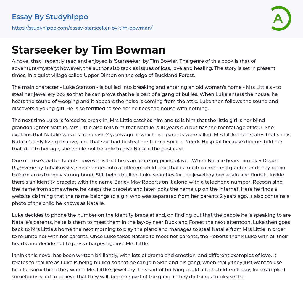 Starseeker by Tim Bowman Essay Example