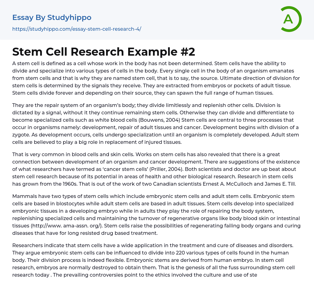 Stem Cell Research Example #2 Essay Example