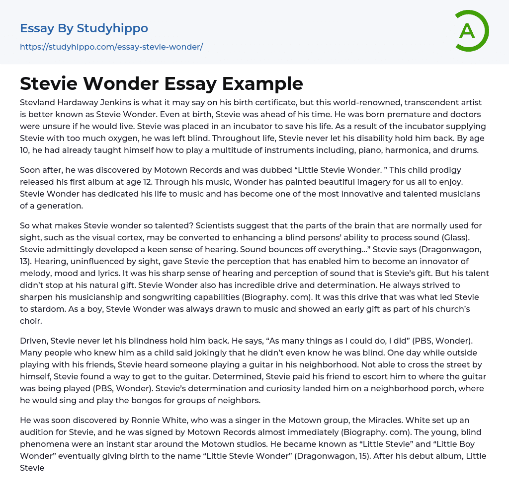 Stevie Wonder Essay Example