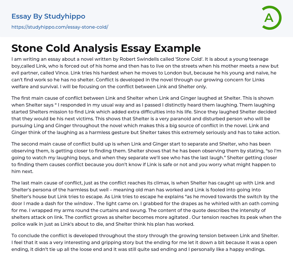 Stone Cold Analysis Essay Example