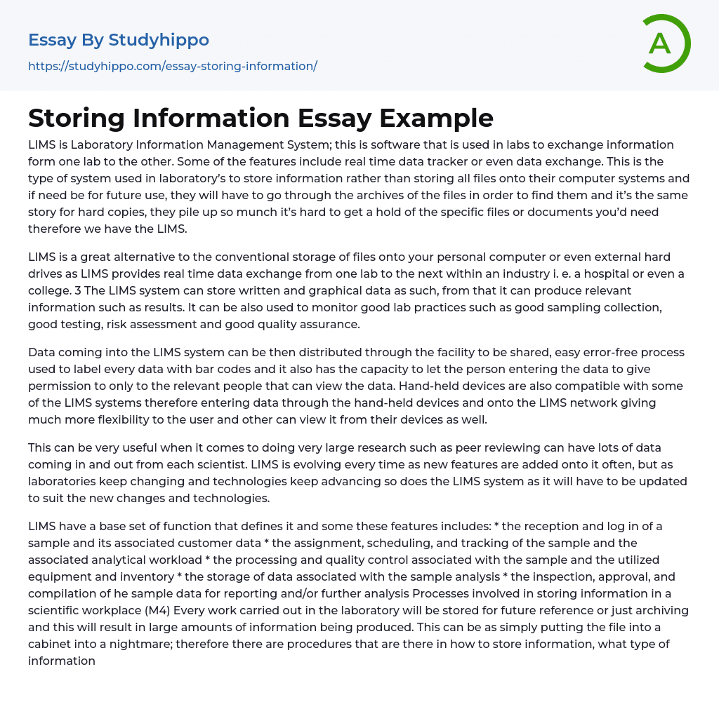 Storing Information Essay Example
