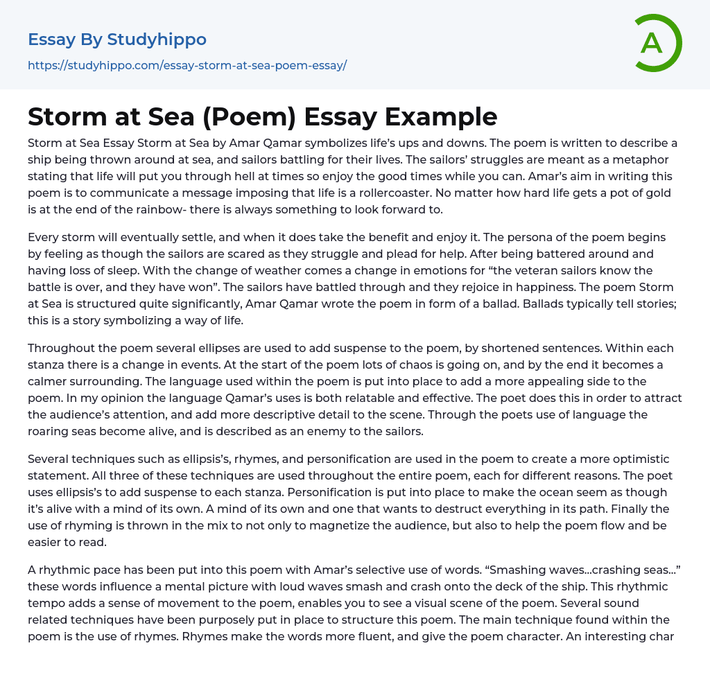 Storm at Sea (Poem) Essay Example