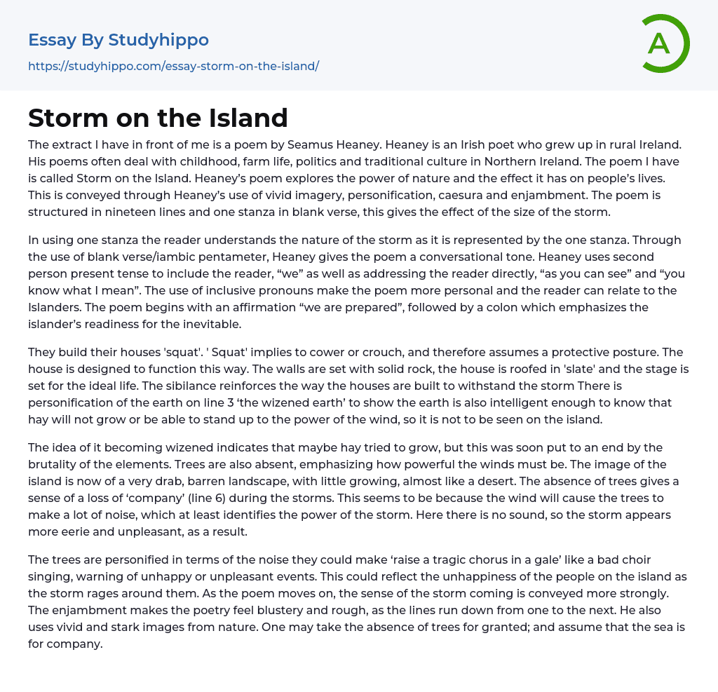 Storm on the Island Essay Example