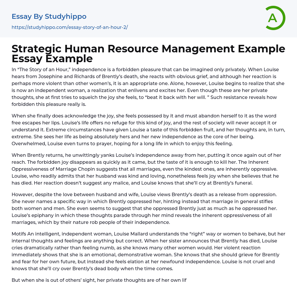 Strategic Human Resource Management Example Essay Example