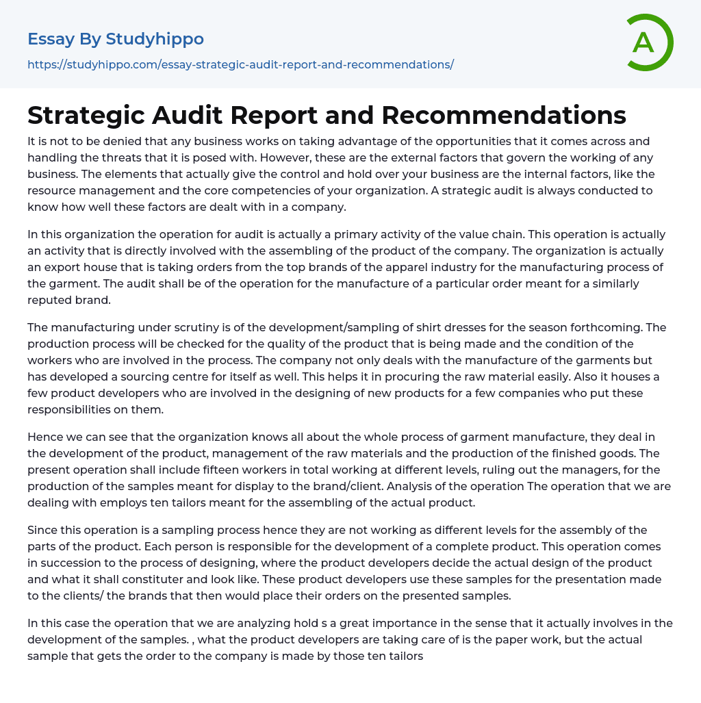 Strategic Audit Report and Recommendations Essay Example