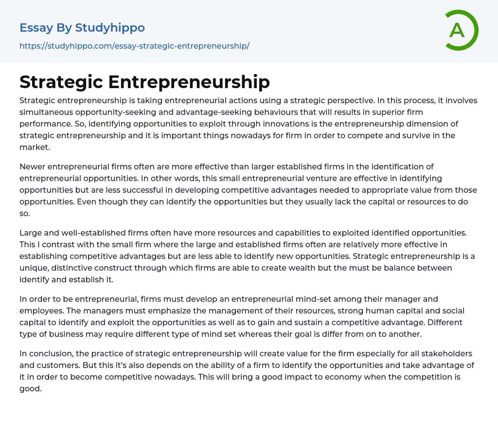 Strategic Entrepreneurship Essay Example