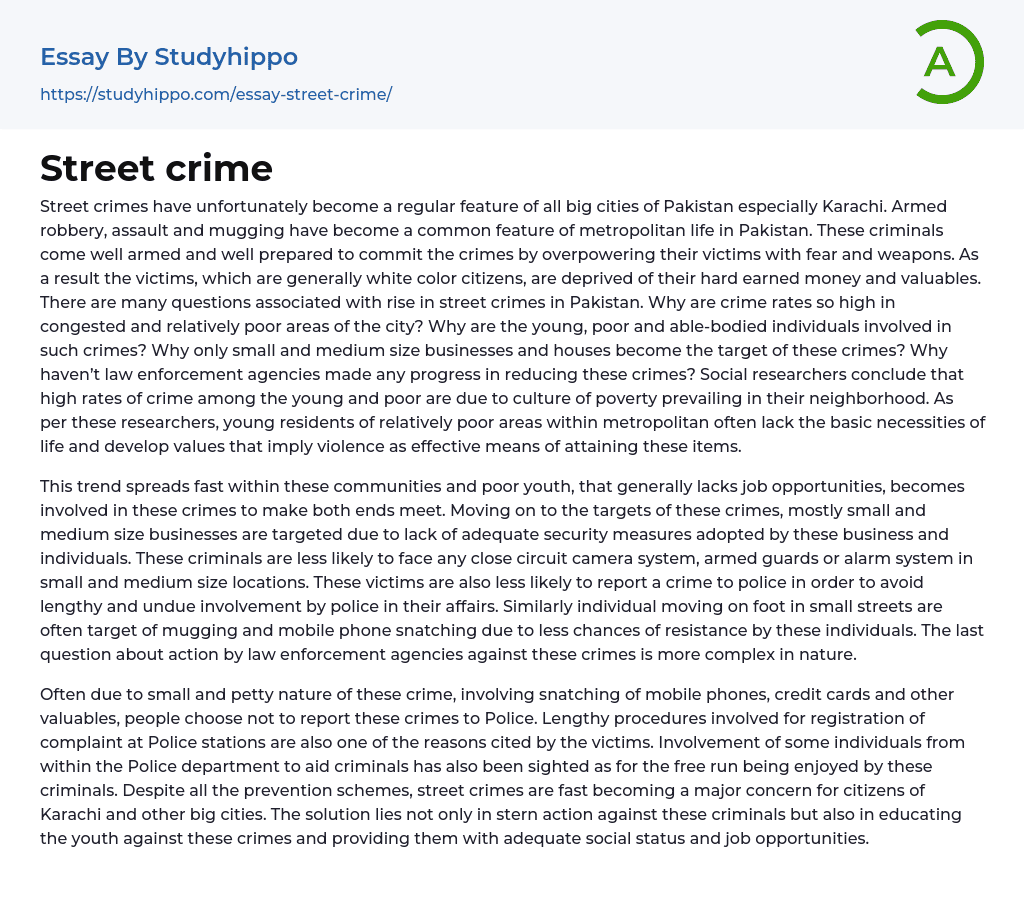 essay on street crime