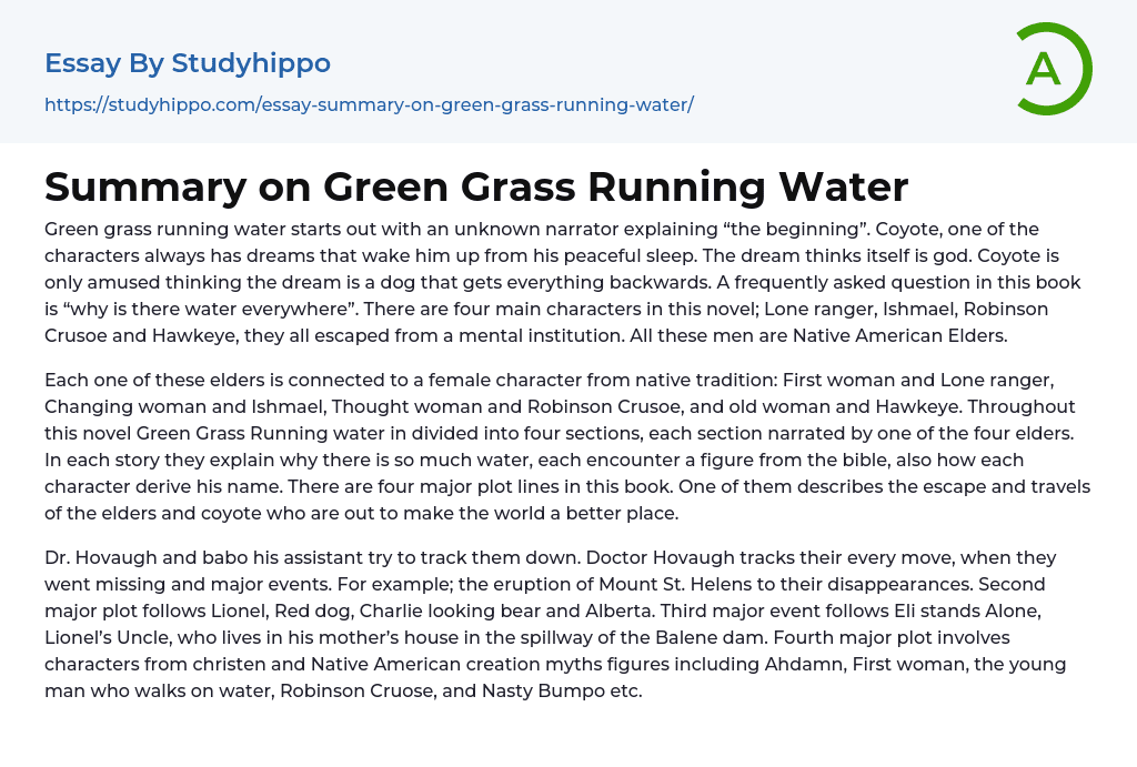Summary on Green Grass Running Water Essay Example