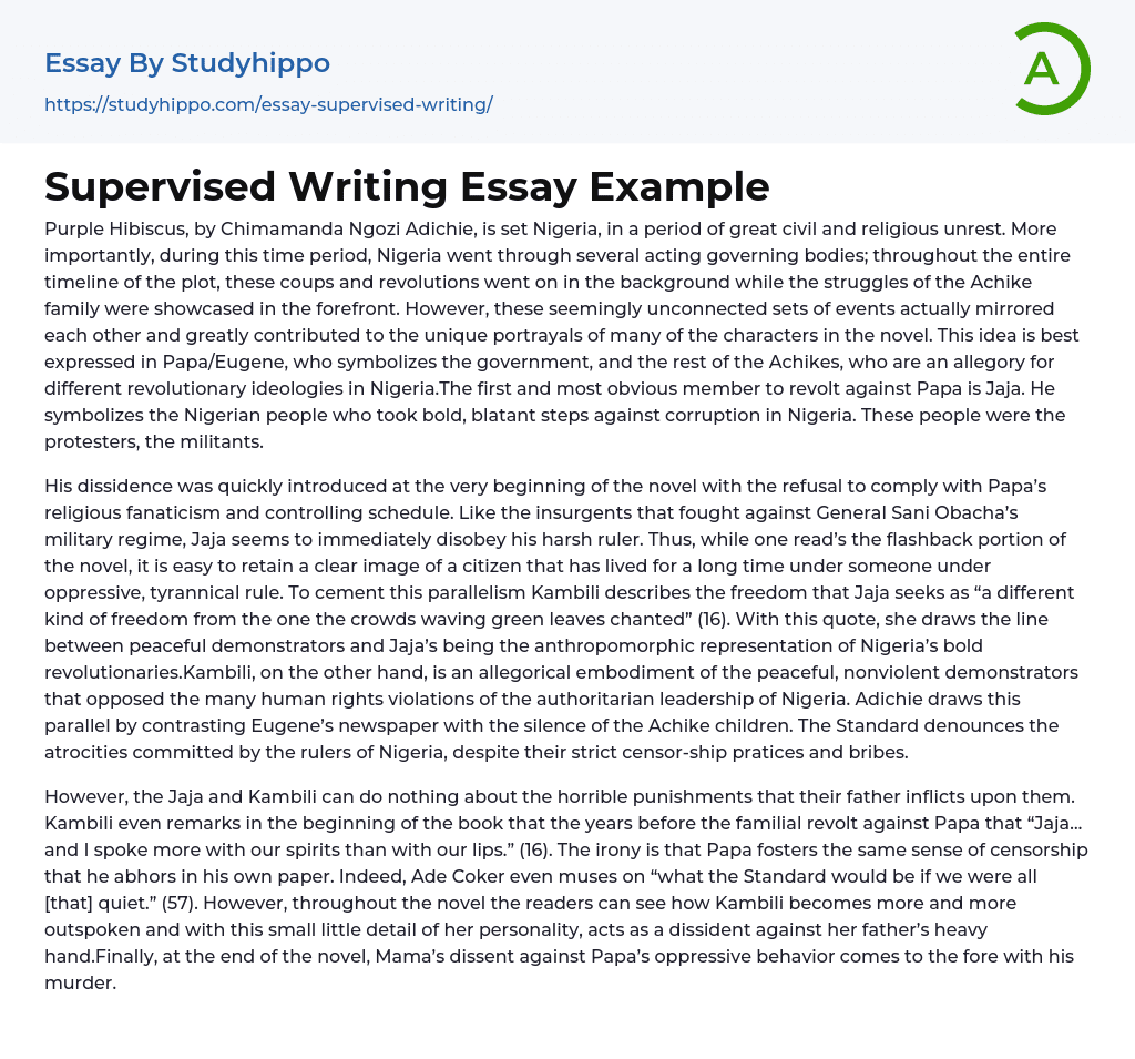Supervised Writing Essay Example