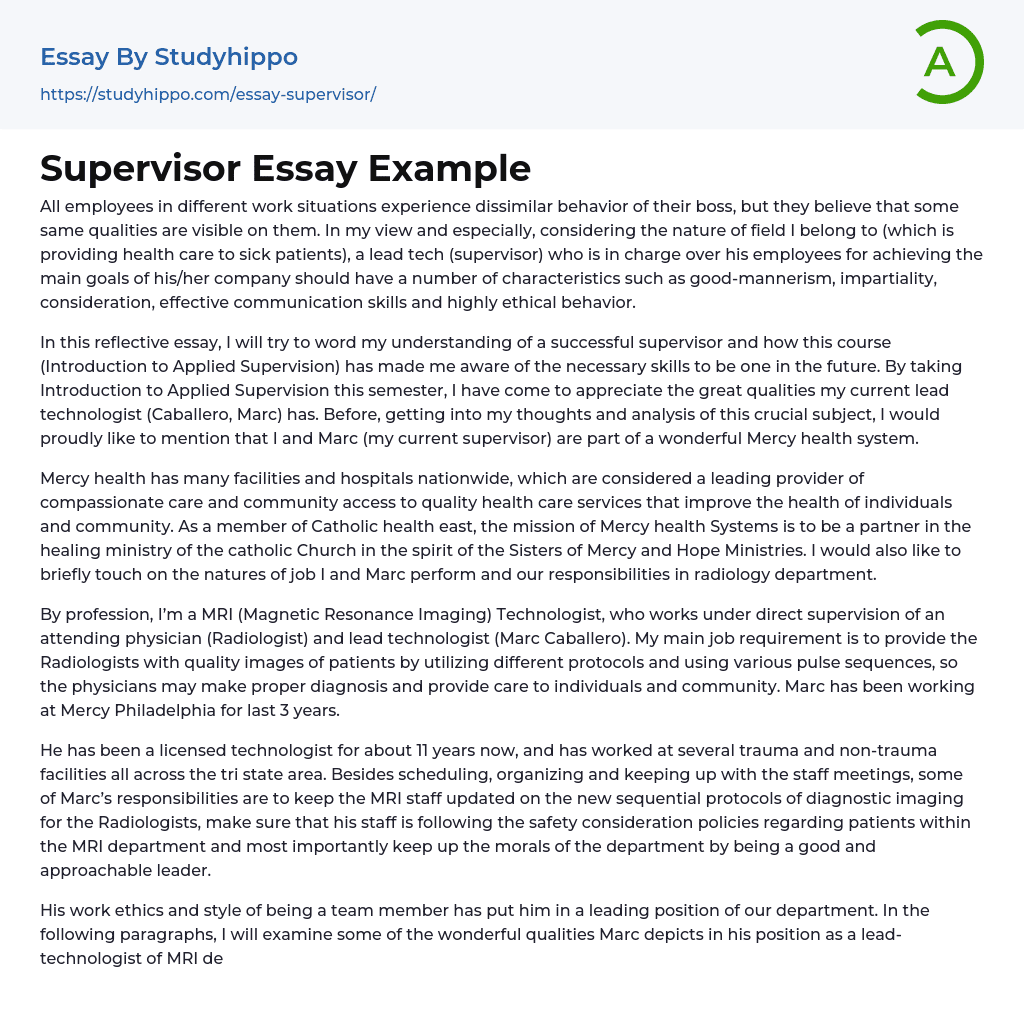 Supervisor Essay Example