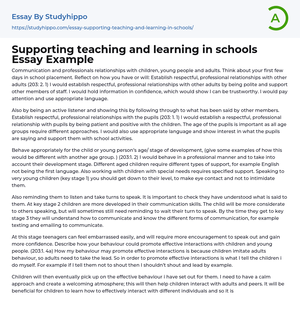 Supporting teaching and learning in schools Essay Example