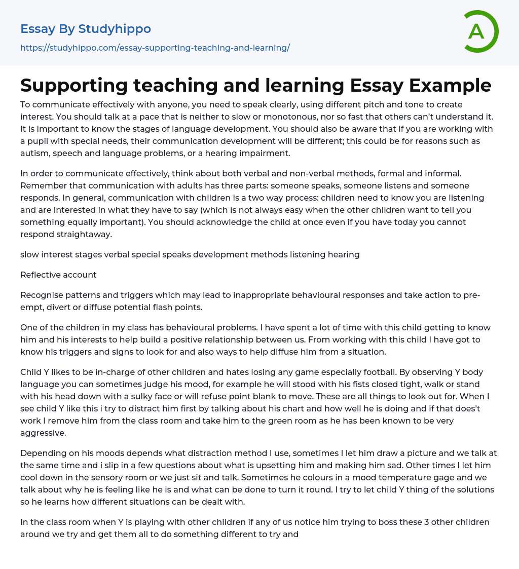 Supporting teaching and learning Essay Example