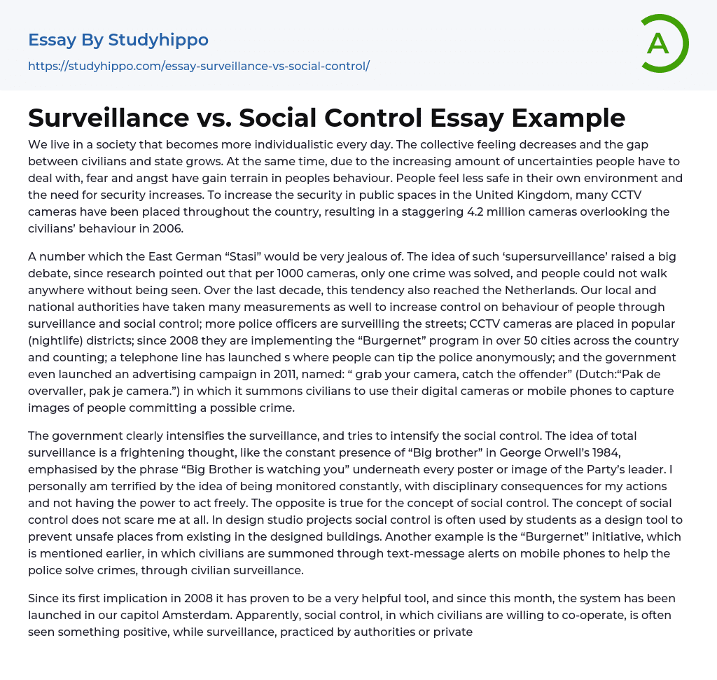 Surveillance vs. Social Control Essay Example
