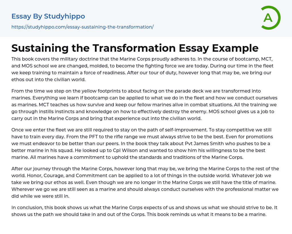 Sustaining the Transformation Essay Example