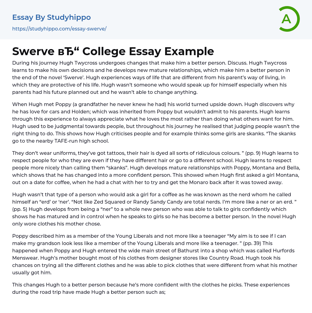 Swerve College Essay Example