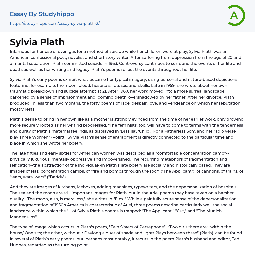 Sylvia Plath Essay Example