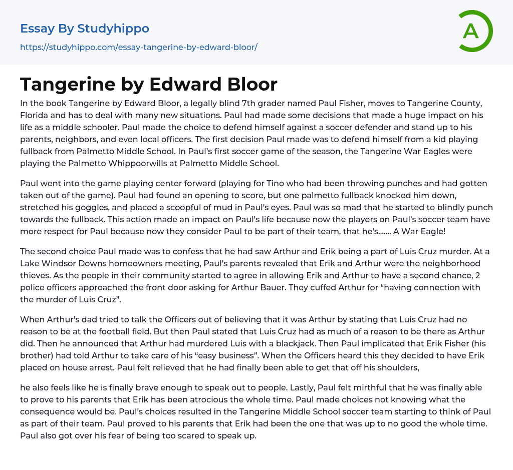 Tangerine by Edward Bloor Essay Example